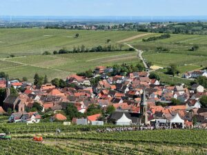 Regional verwurzelt Birkweiler Kastanienbusch Birkweiler Weinfrühling