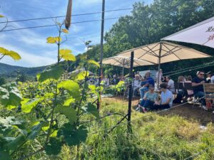 Genuss & Wein Birkweiler Kastanienbusch Birkweiler Weinfrühling
